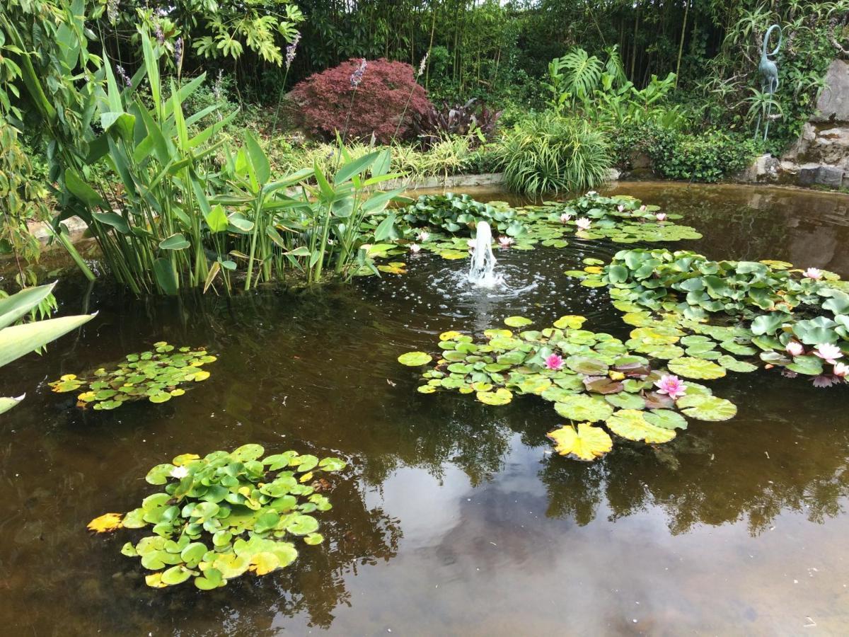 Quinta Das Pedras Belas Exteriér fotografie